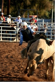 Every bull rider gets one chance to prove himself. This bull rider is about to hit the ground right before his legal eight second ride. (Naomi Klocmann/Borderzine.com)