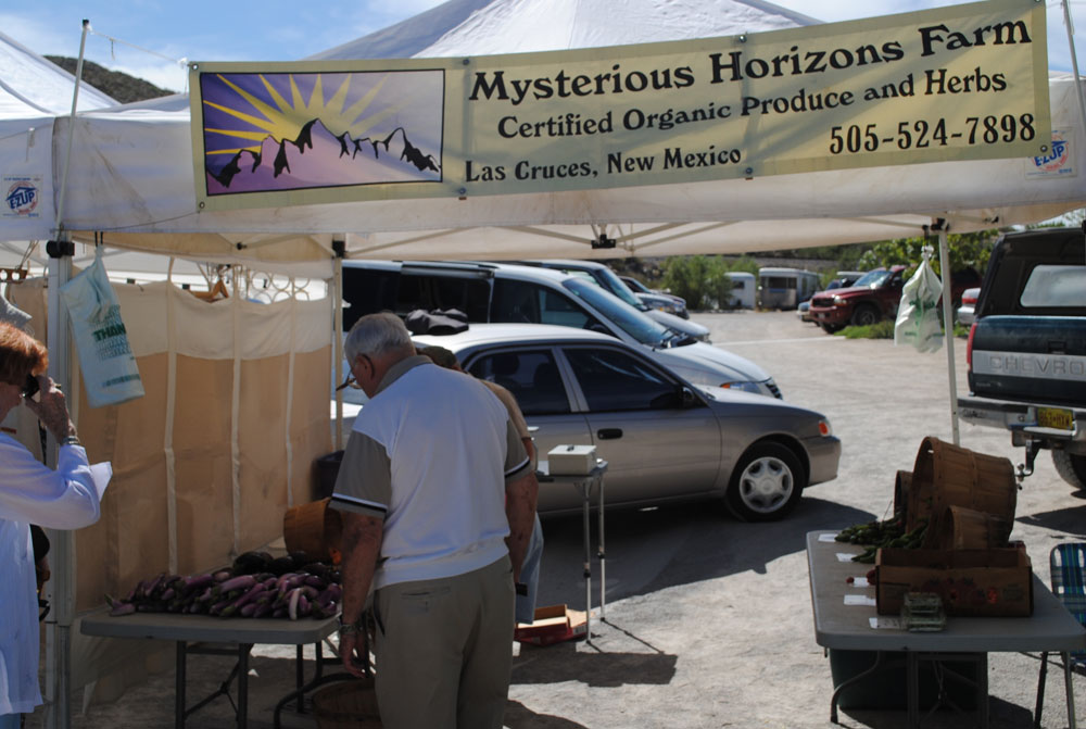 Mysterious Horizons Farm Stand at Ardovinos Desert Crossing Farmers Market (Kristian Hernandez/Borderzine.com)