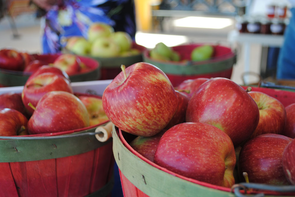 Apples from Nichols Ranch, Las Cruces, N.M. (Danya Hernandez/Borderzine.com)