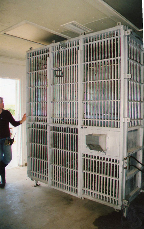 Jen Feuerstein shows the cages used by TCF to confine chimps. (Danya Hernandez/Borderzine.com)