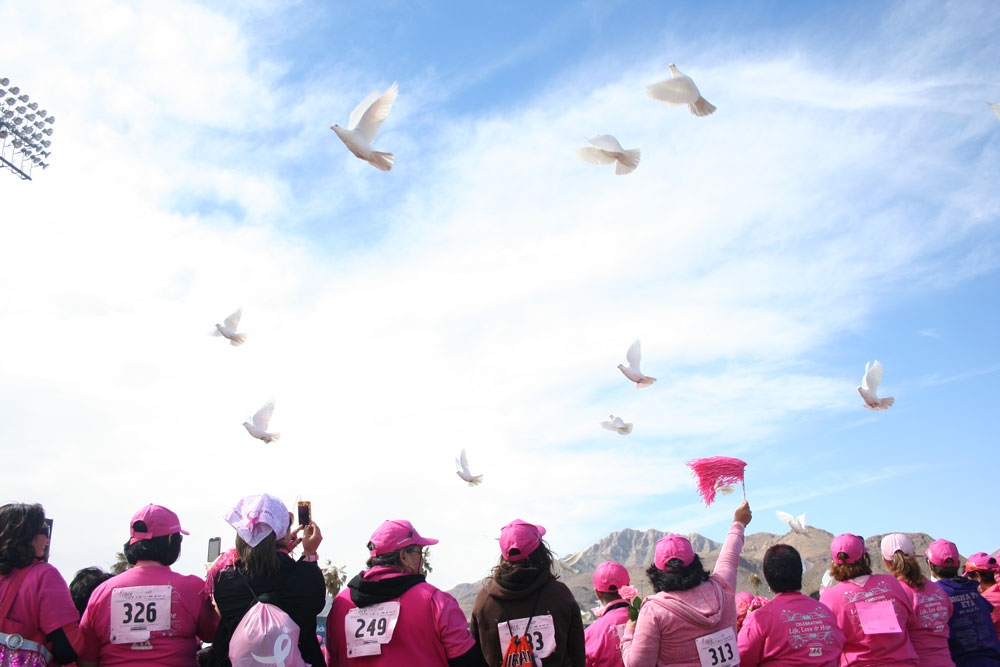 White doves fill the sky as they are released in celebration of the hundreds of breast cancer survivors who took part in Race for the Cure. (Diana Amaro/Borderzine.com)