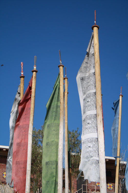 Bhutanese prayer flags on UTEP campus. (Cheryl Howard/Borderzine.com)