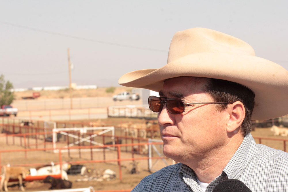 Daniel Manzanares, director of the Santa Teresa International Livestock Crossing, oversees hundreds of cattle crossings between Mexico and the U.S. each year. (Jasmine Aguilera/Borderzine.com)