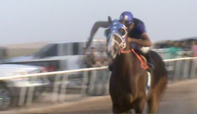 En Sunland Park, NM, es común ver a aficionados asistir a los entrenamientos de los caballos cuarto de milla. (Kristopher Rivera/Borderzine.com)