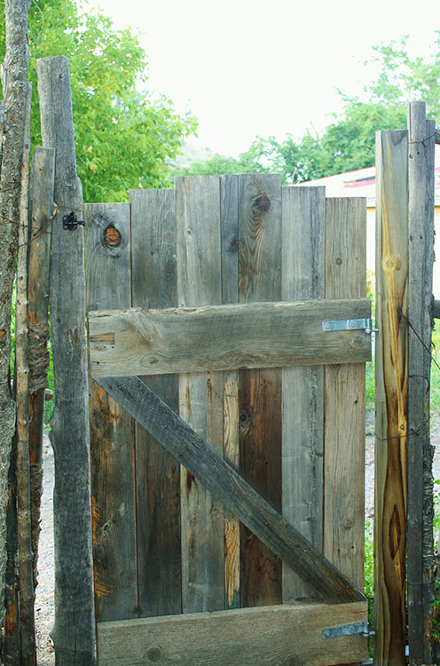 Back gate to my neighbor's house. (Cheryl Howard/Borderzine.com)