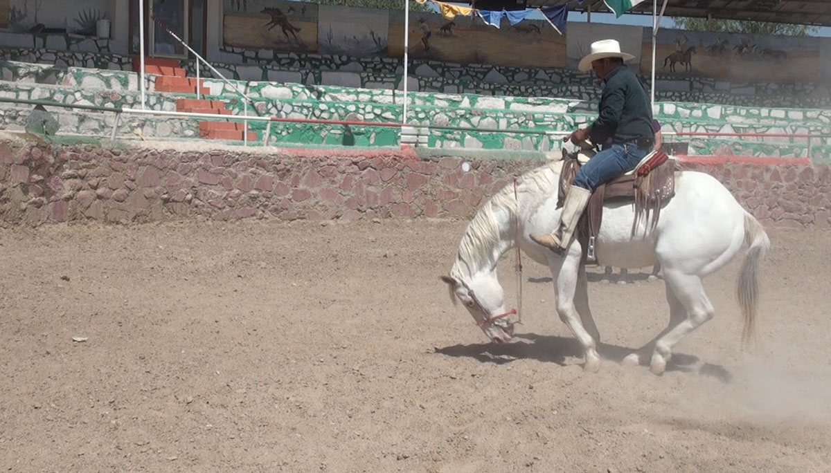 Pedro Castro demonstrates a suerte, or trick, that he and his horse perform in la charrería. (Steve Elliott/Borderzine.com)
