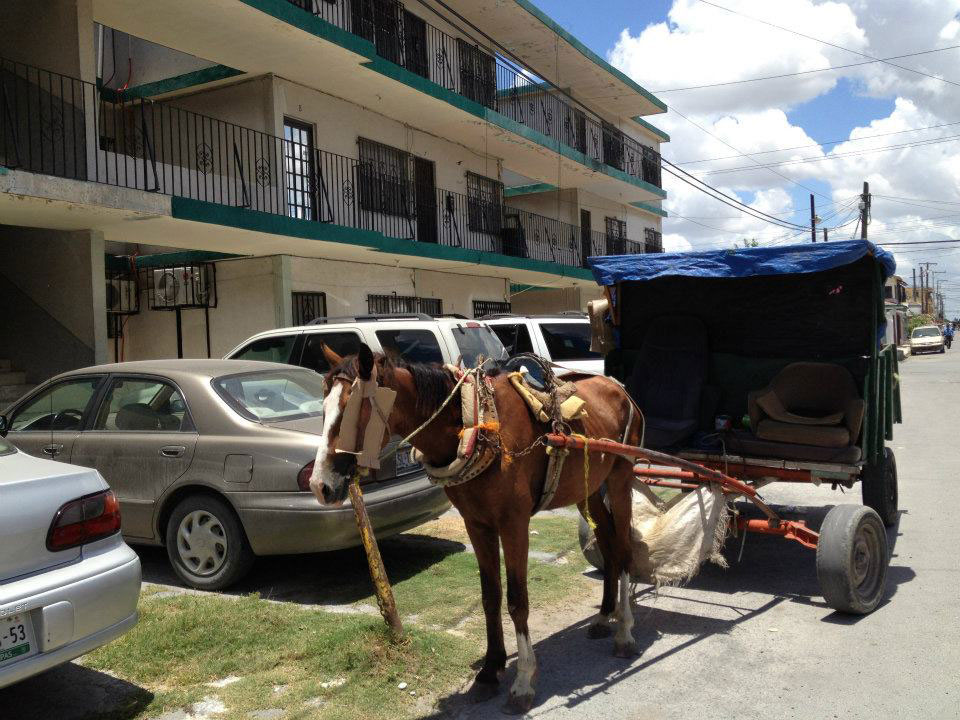 En Reynosa, Tamaulipas, la basura se recolecta usando carretas tiradas por caballos. (Sergio Chapa/Borderzine.com)