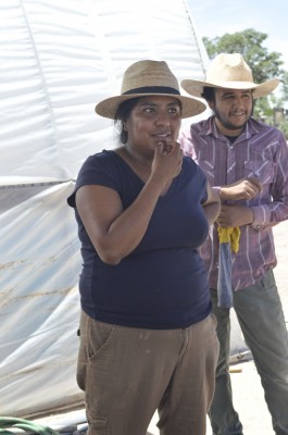 Alma Maquitico, a Farm Assistant Fellow, emphasized that the farmers in Sol y Tierra, do not work under exploitative conditions. They work with dignity, have a decent income, and they are getting trained to be self-sufficient, she added.  On the other hand, Mario Holguín, a farmer trainee, warns that non-organic produce may cause diseases because they are too processed or genetically modified. He explains that, instead of chemicals, organic farming uses natural pesticides such as a mixture of garlic and chile, fish water or compost. 