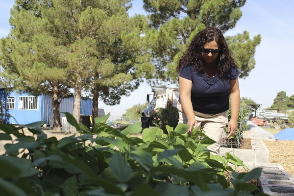 Denise Rodriguez organized El Paso County’s first community garden in Ascarate Park. The garden has donated more than 1,000 pounds of food to a local food bank. (Celeste González de Bustamante/Borderzine.com)