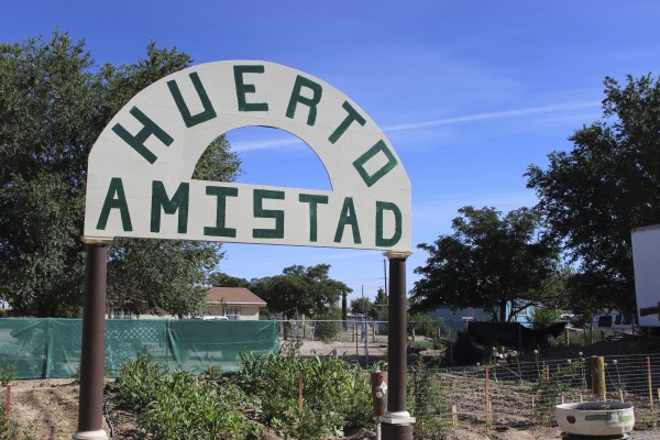 About 25 people participate in the Huerto Amistad garden on Beverly Ann in San Elizario. The garden was started in 2013. (Kirstie Hettinga/Borderzine.com)