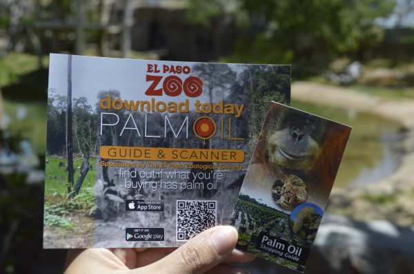 el paso zoo palm oil app