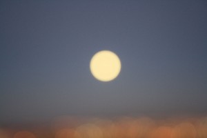 Hunter moon, rising. (Cheryl Howard/Borderzine.com)