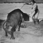 McCormick evita los cuernos del toro mientras trata de enterrarle la espada. (©Henry Holt & CO.)