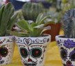 Planters decorated for day of the dead